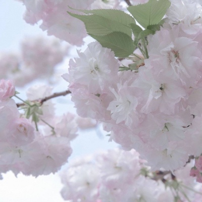 合阳FurryQQ群介绍